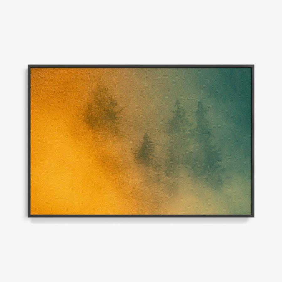 Photograph by Brian Merriam