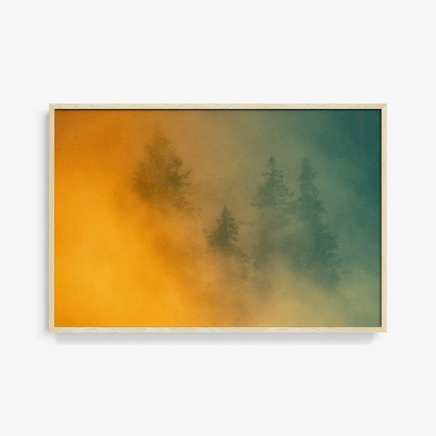 Photograph by Brian Merriam