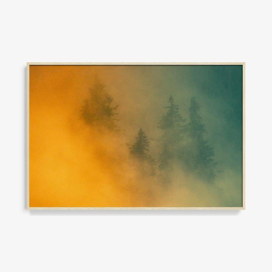 Photograph by Brian Merriam