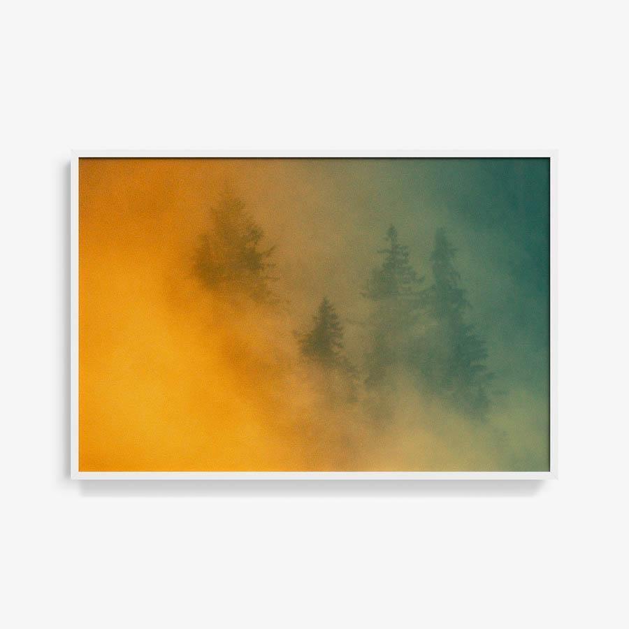 Photograph by Brian Merriam