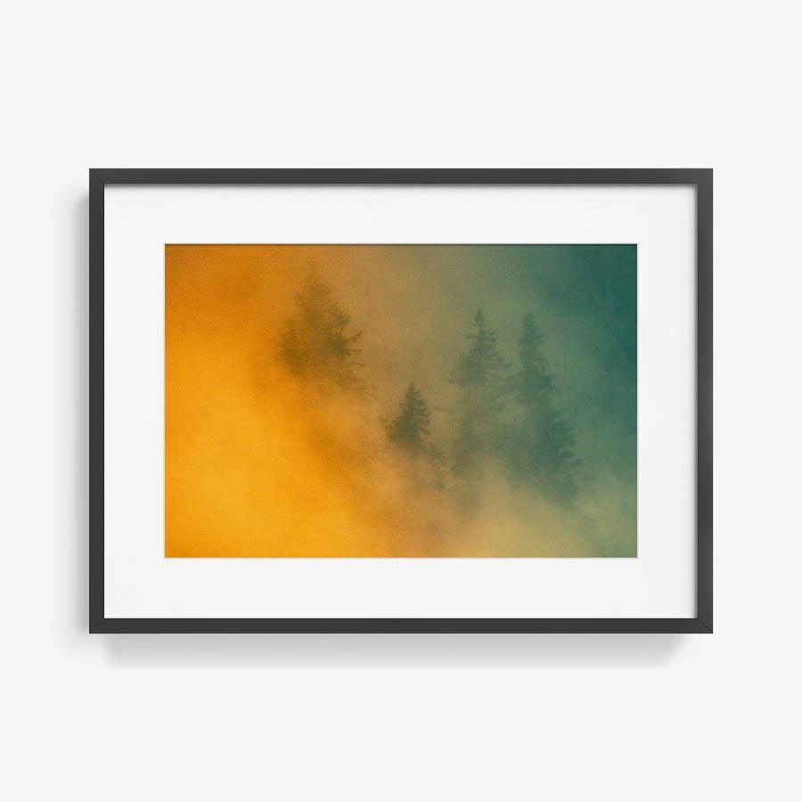 Photograph by Brian Merriam