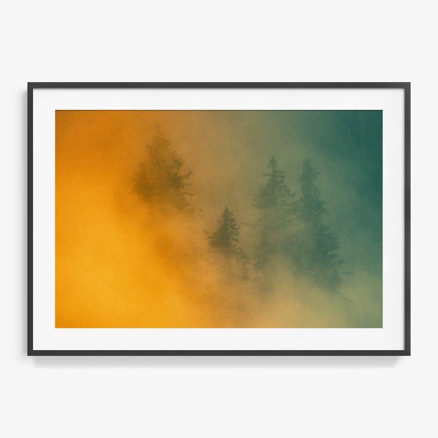 Photograph by Brian Merriam