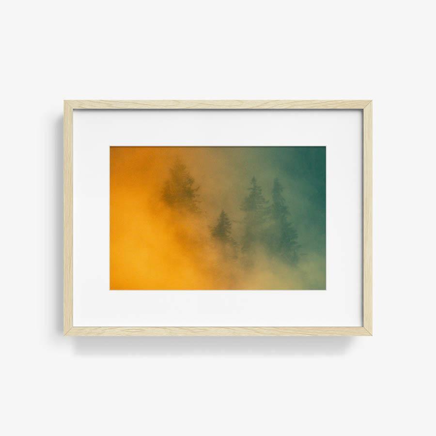 Photograph by Brian Merriam