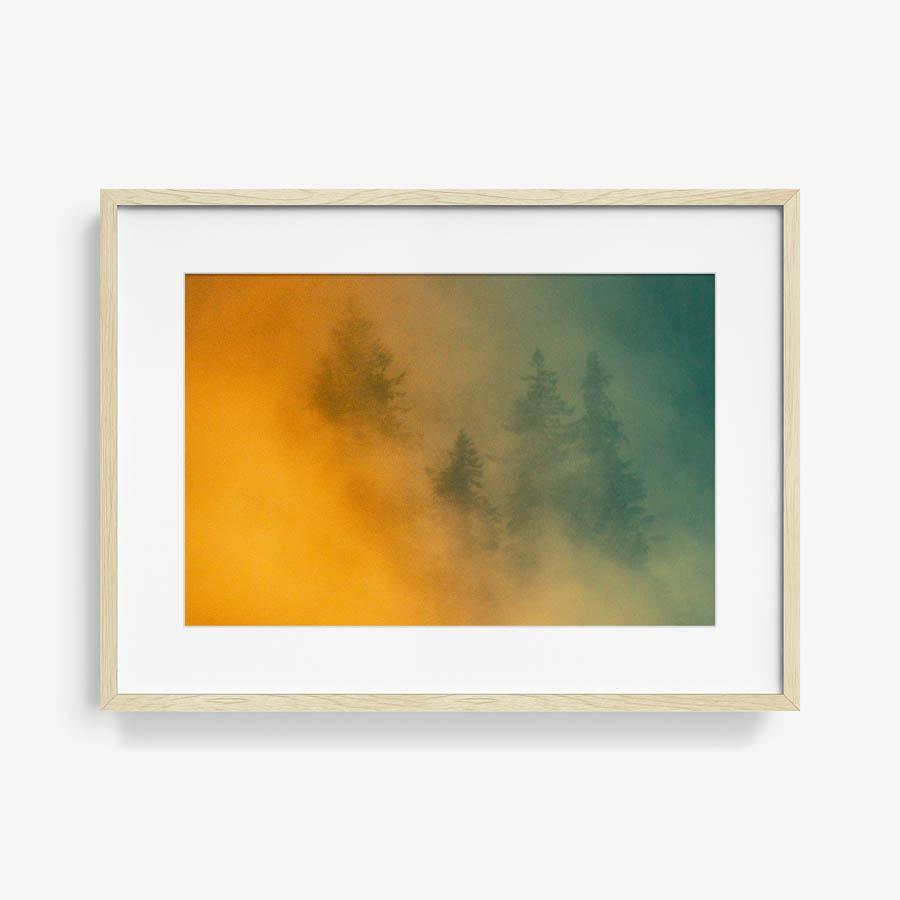 Photograph by Brian Merriam