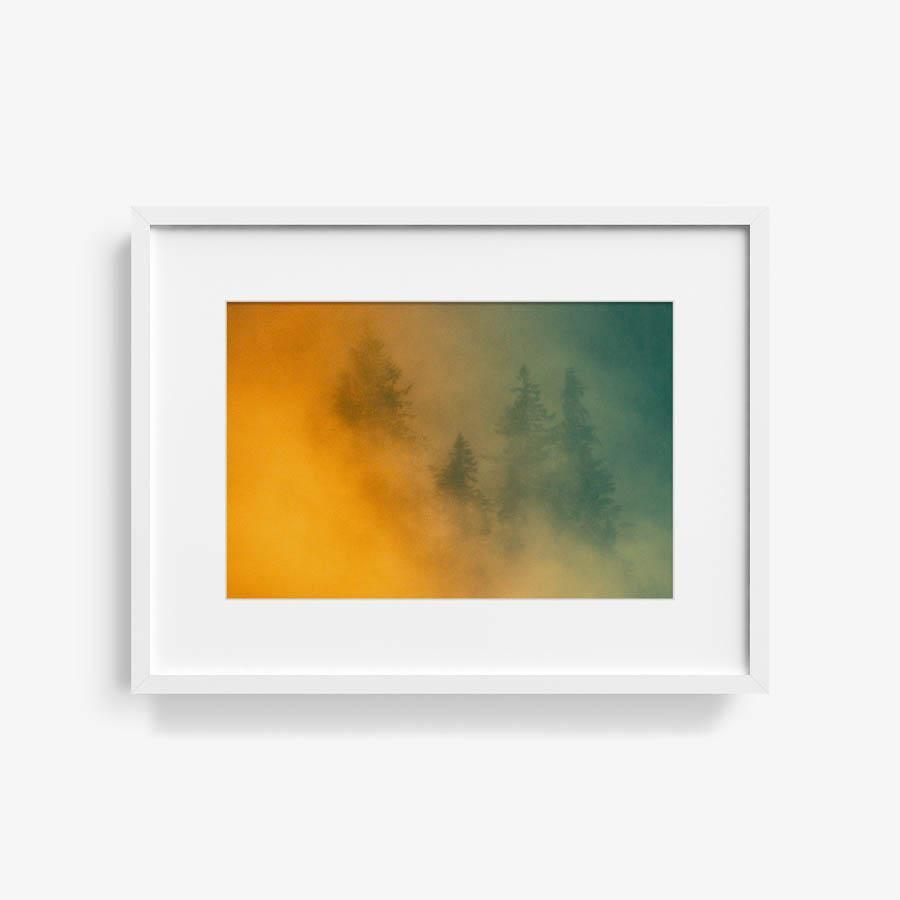 Photograph by Brian Merriam