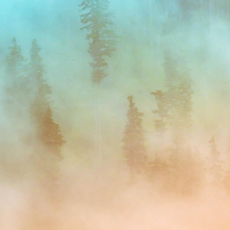 Photograph by Brian Merriam