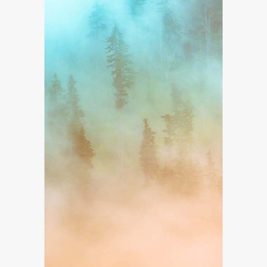 Photograph by Brian Merriam