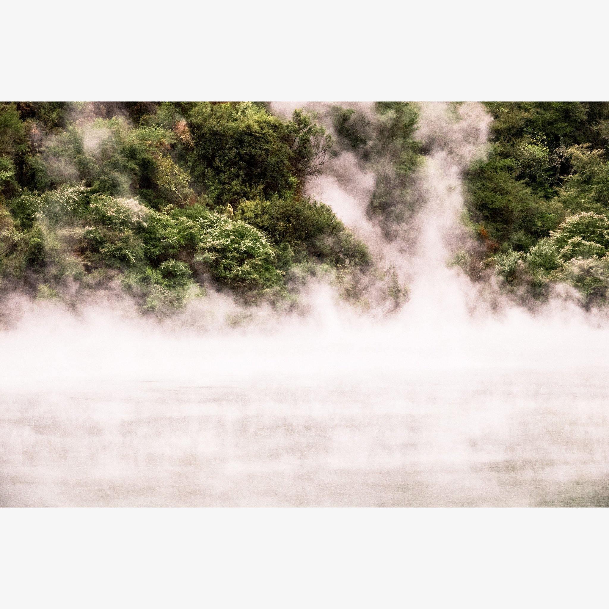 Photograph by Brian Merriam