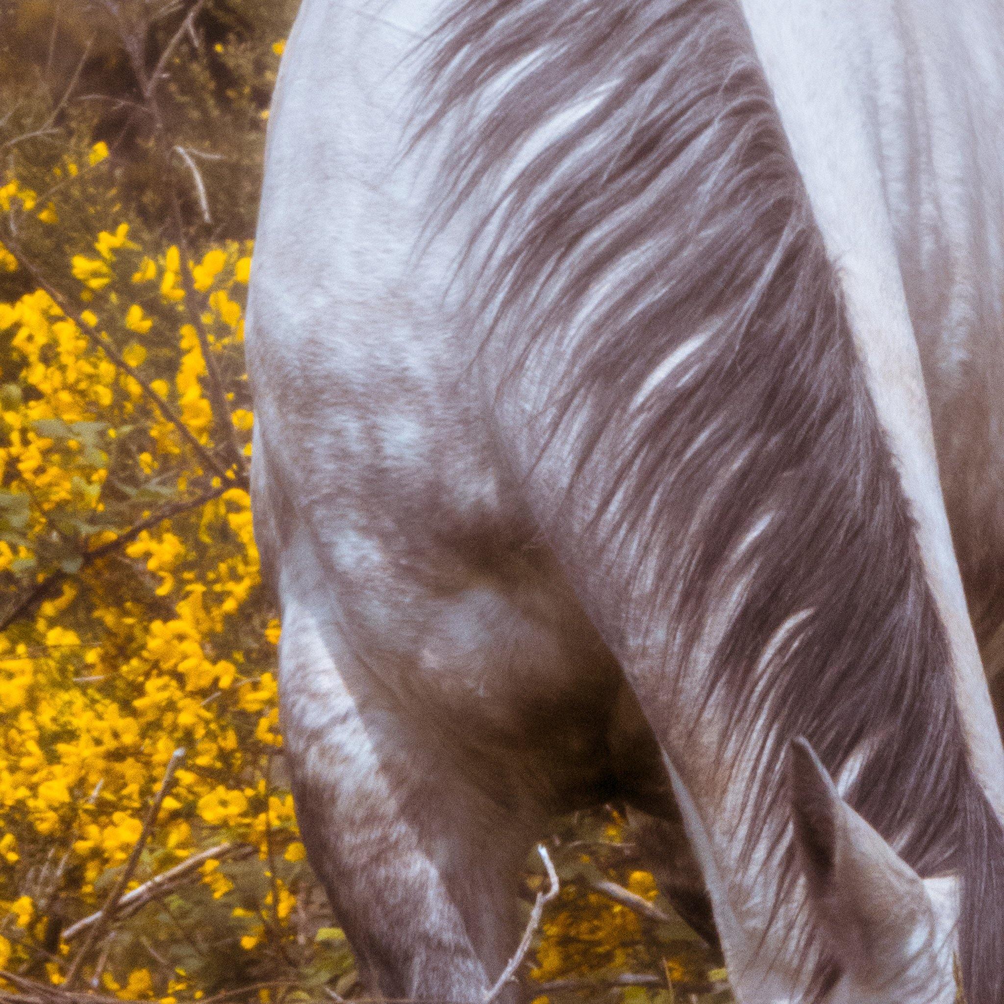 Photograph by Brian Merriam