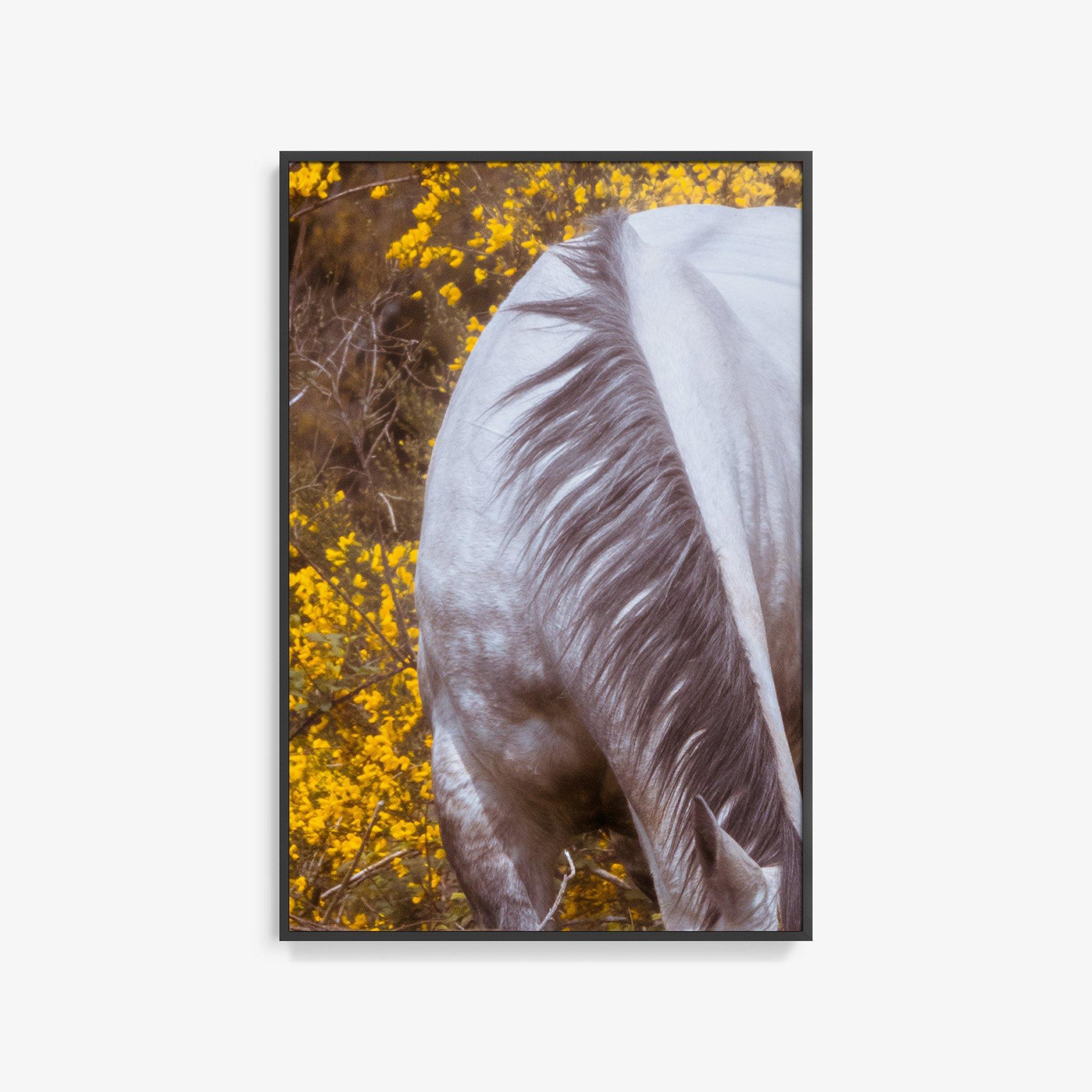 Photograph by Brian Merriam