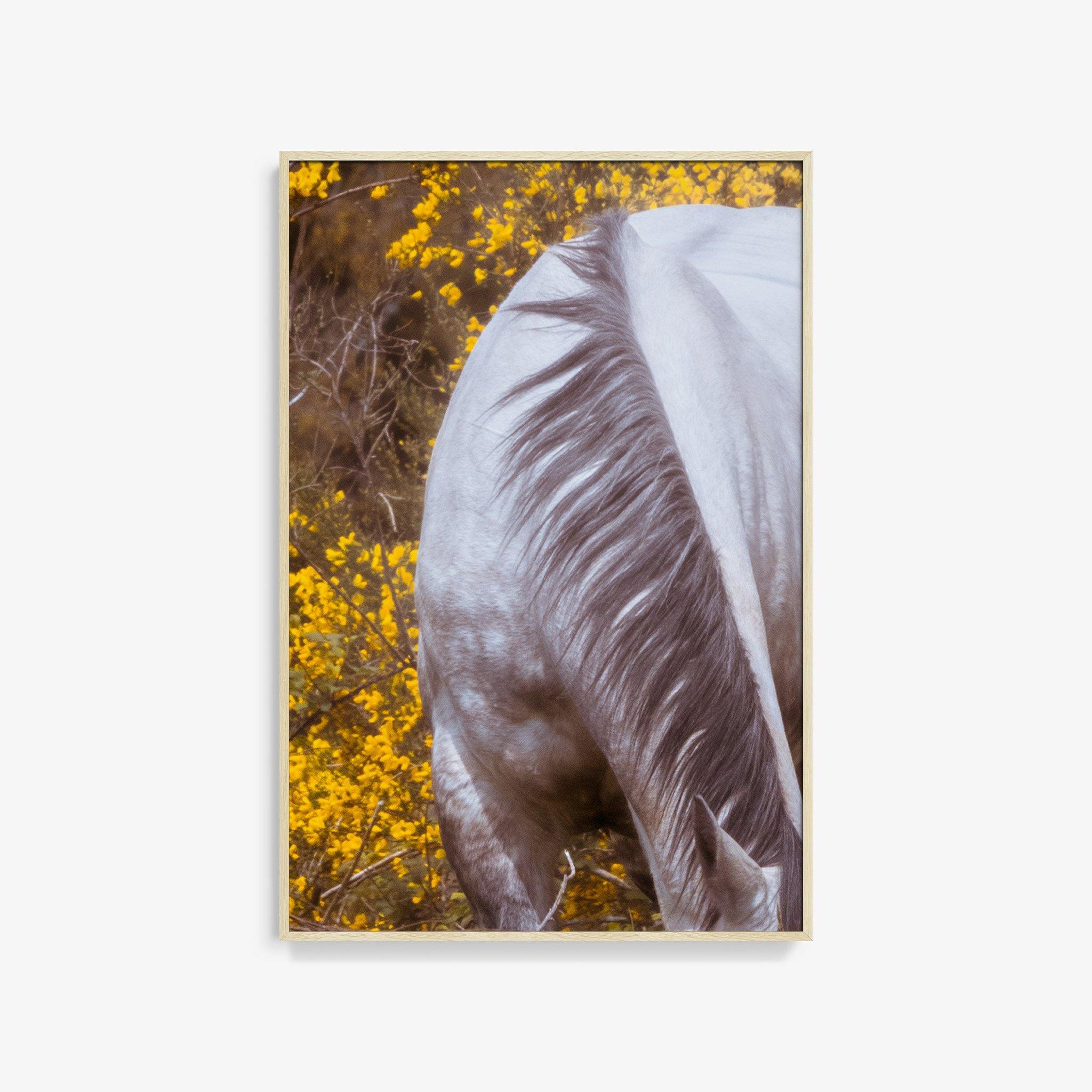 Photograph by Brian Merriam