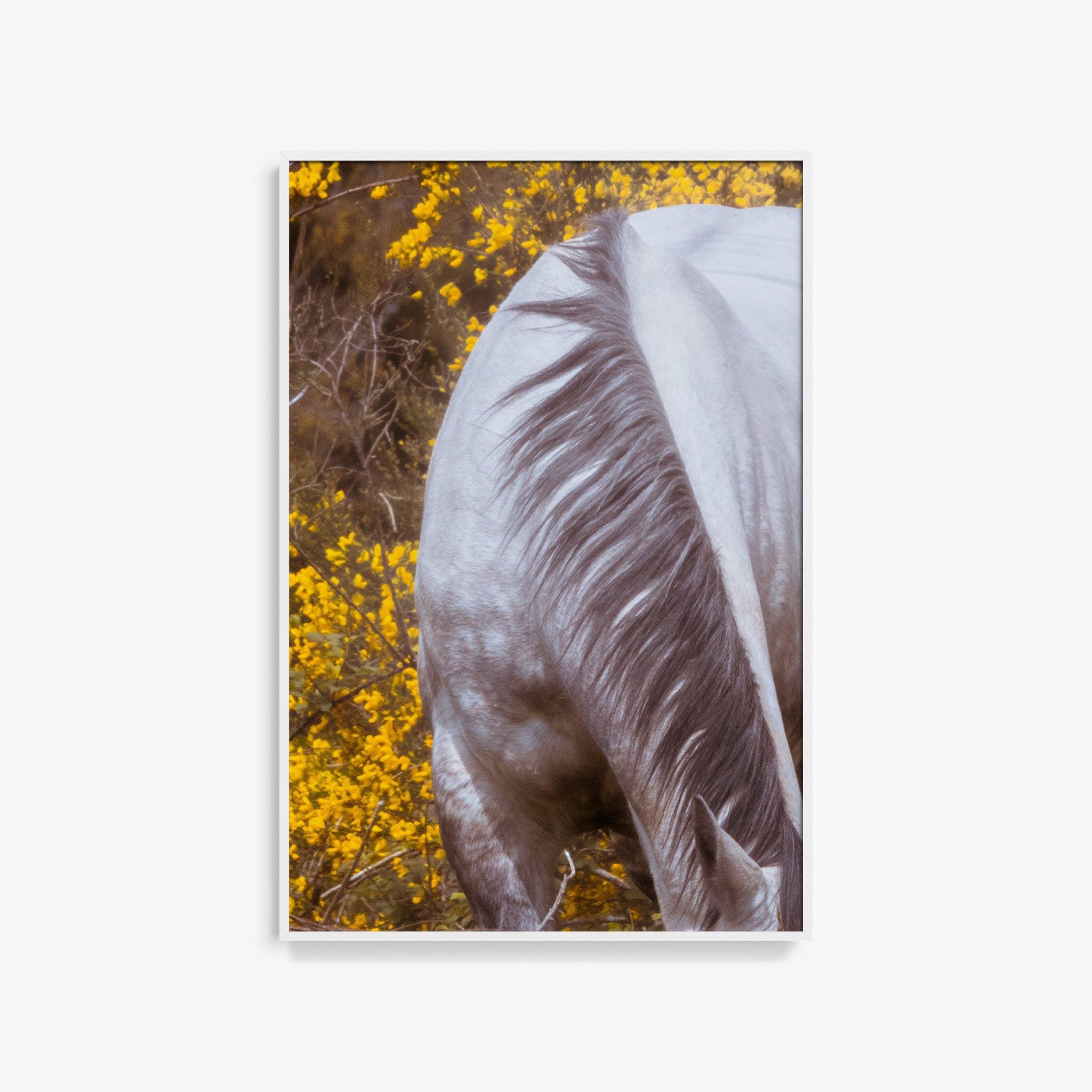 Photograph by Brian Merriam