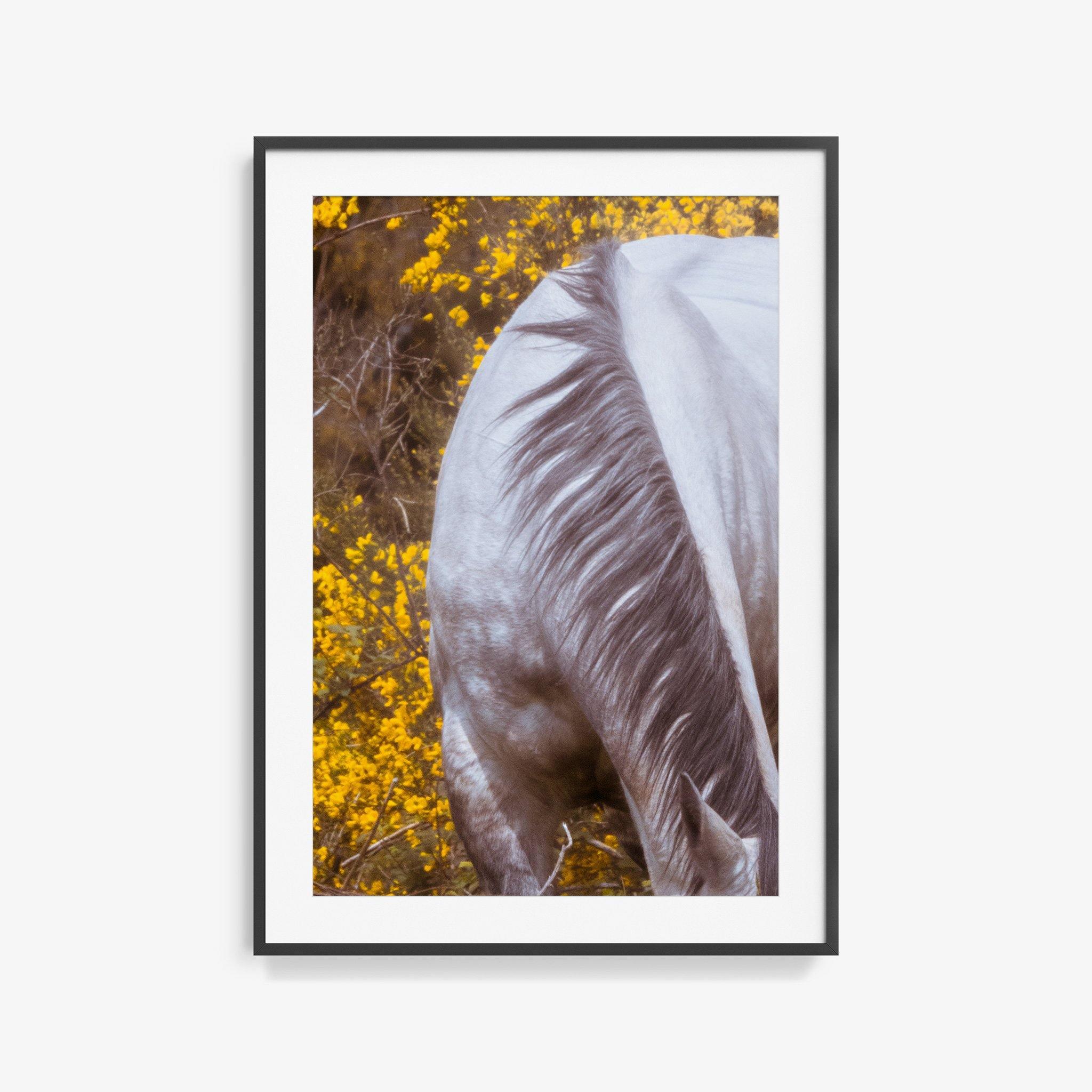 Photograph by Brian Merriam