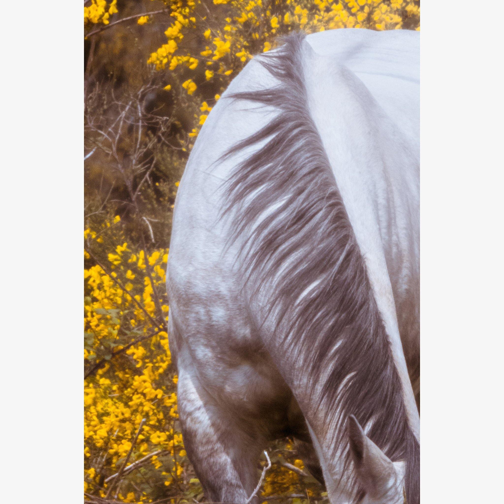 Photograph by Brian Merriam