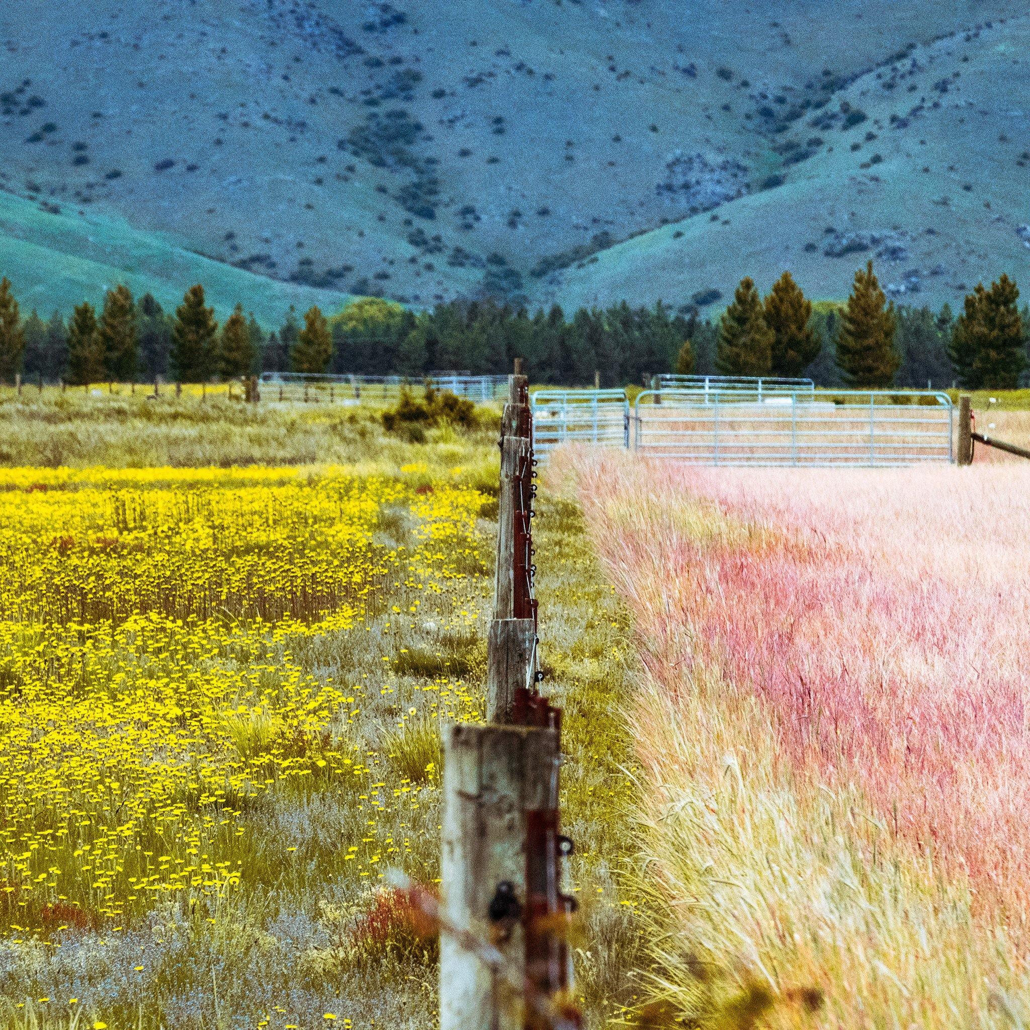 Photograph by Brian Merriam