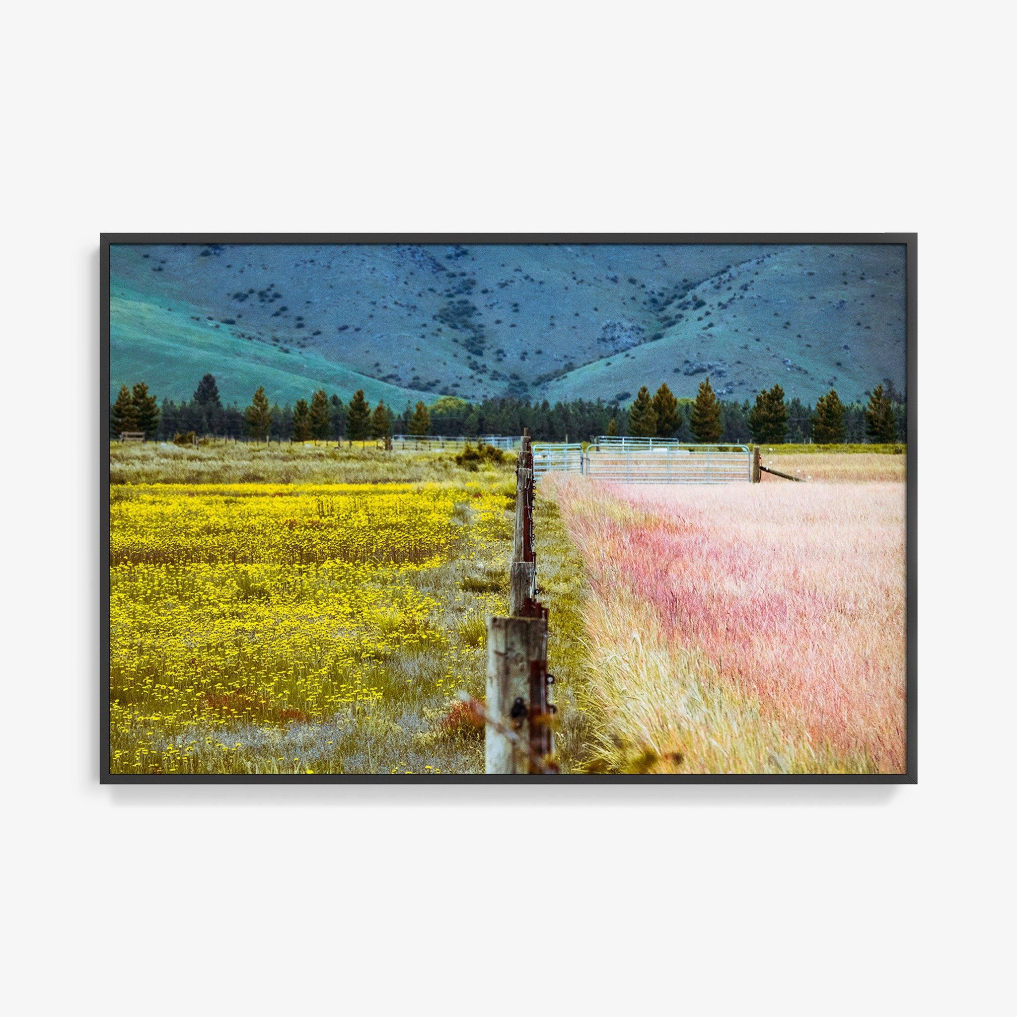 Photograph by Brian Merriam