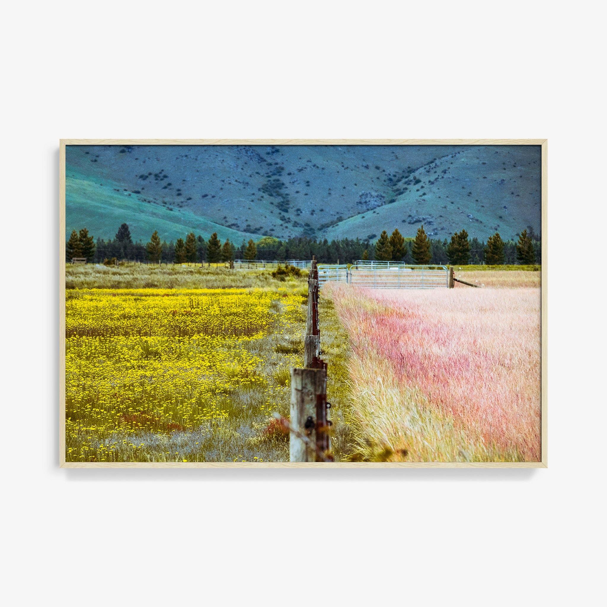 Photograph by Brian Merriam