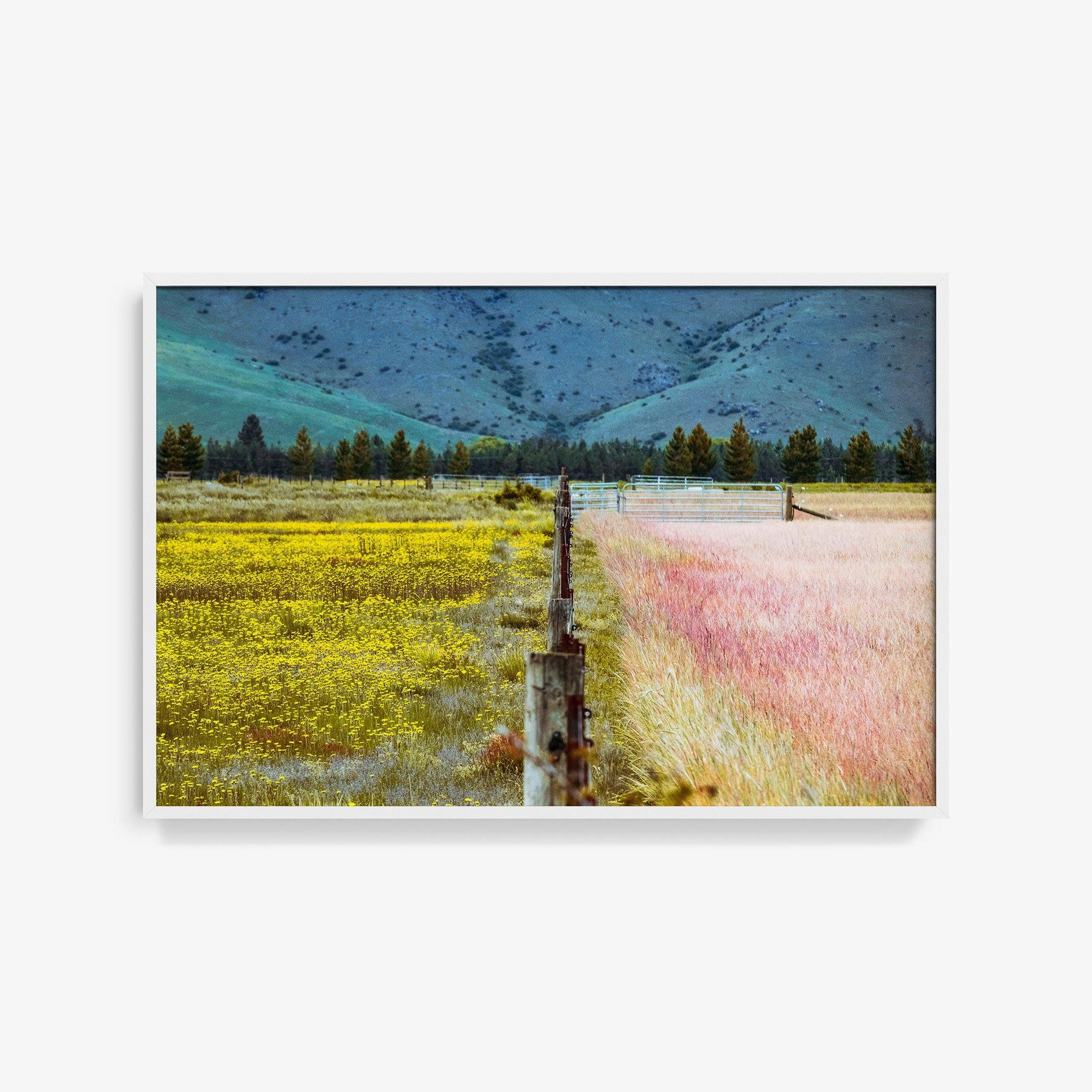 Photograph by Brian Merriam