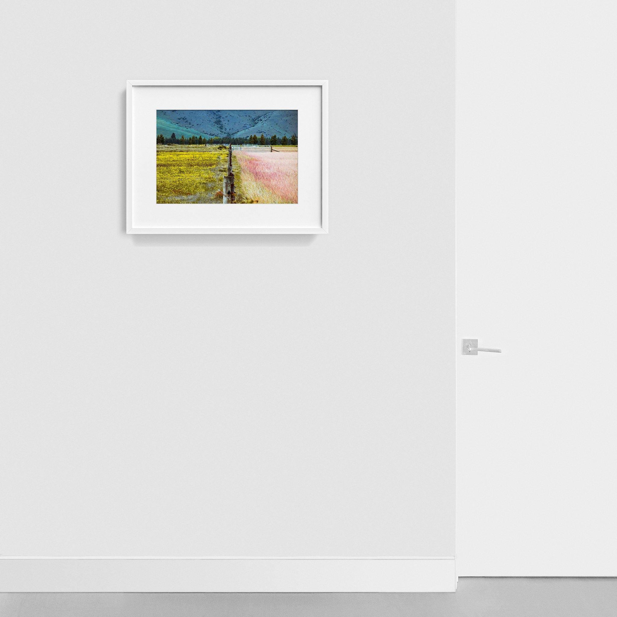 Photograph by Brian Merriam