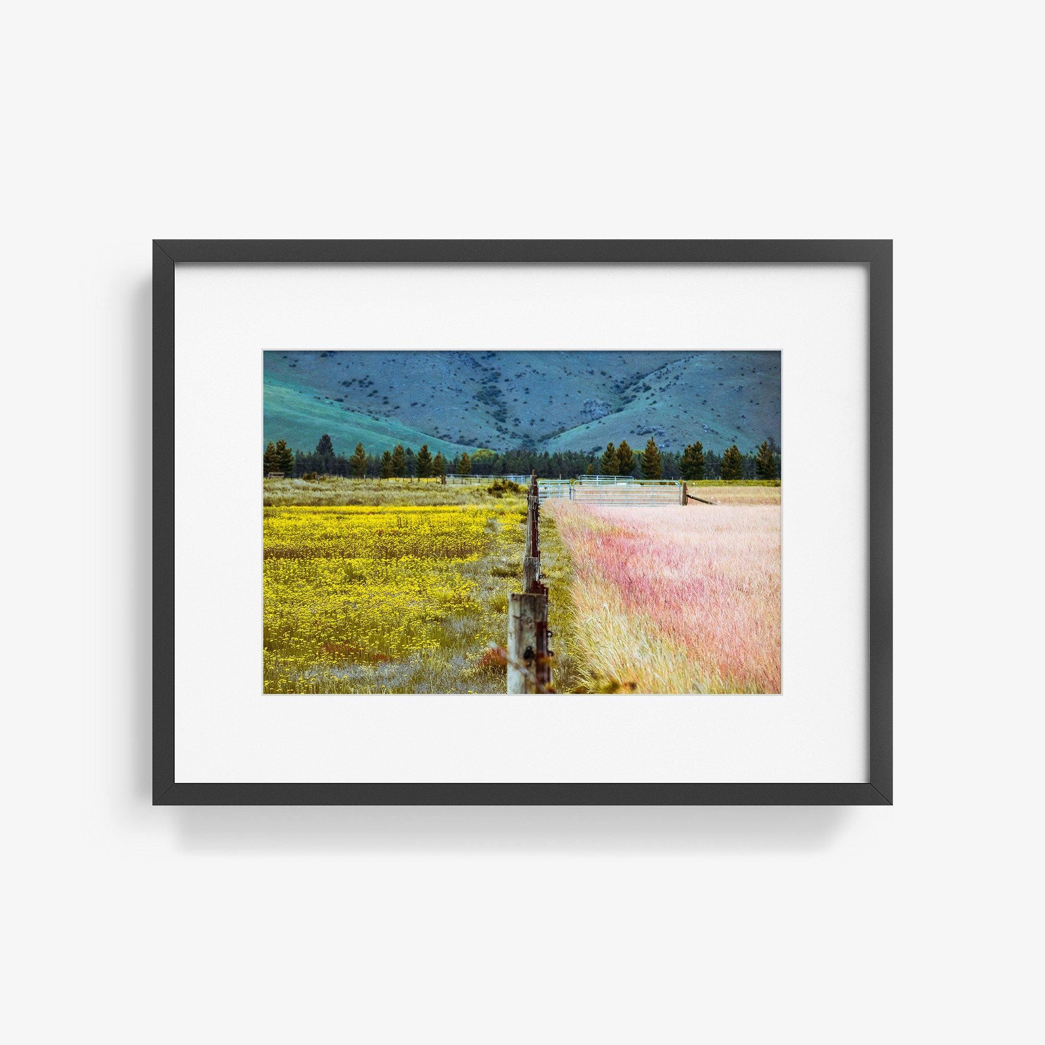 Photograph by Brian Merriam