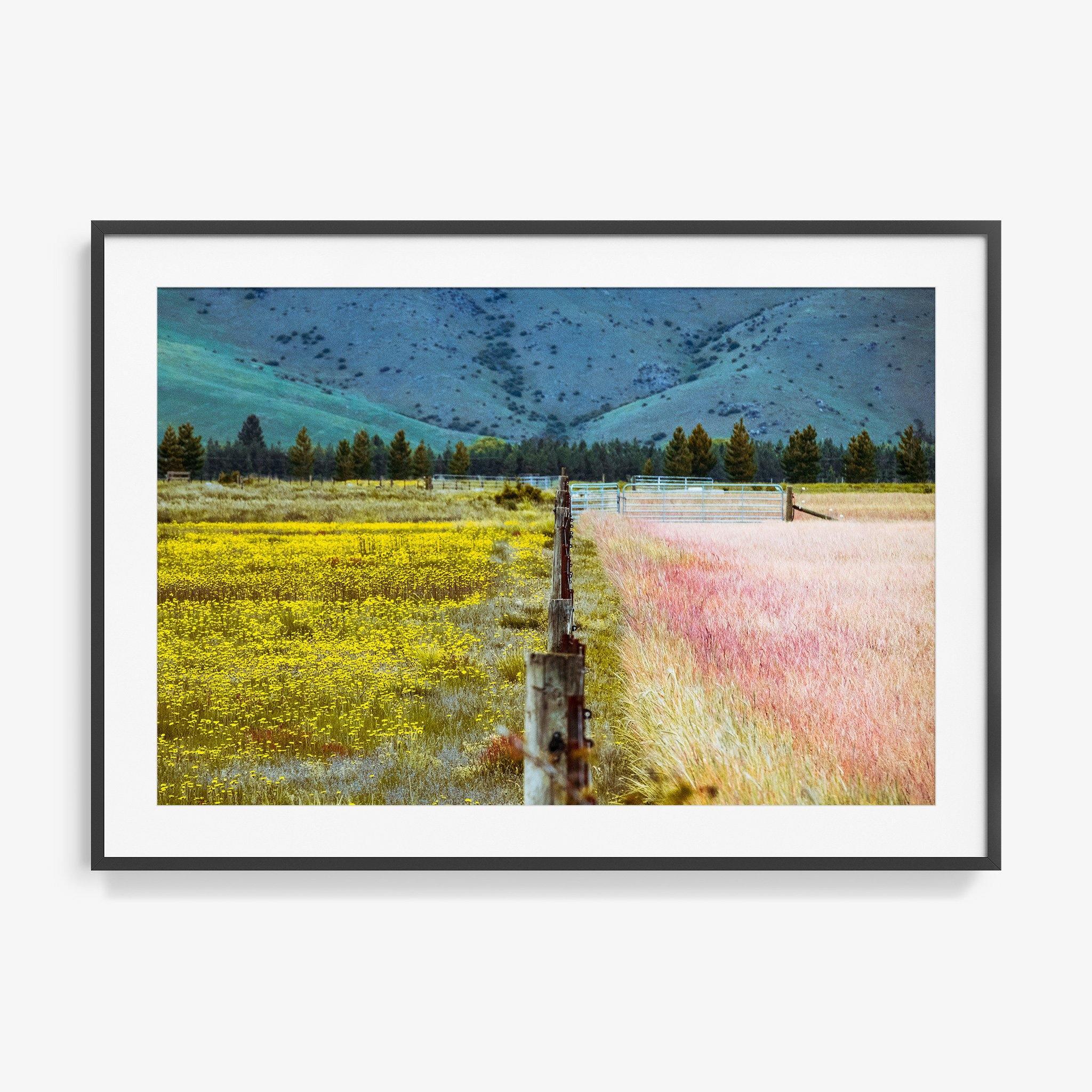 Photograph by Brian Merriam