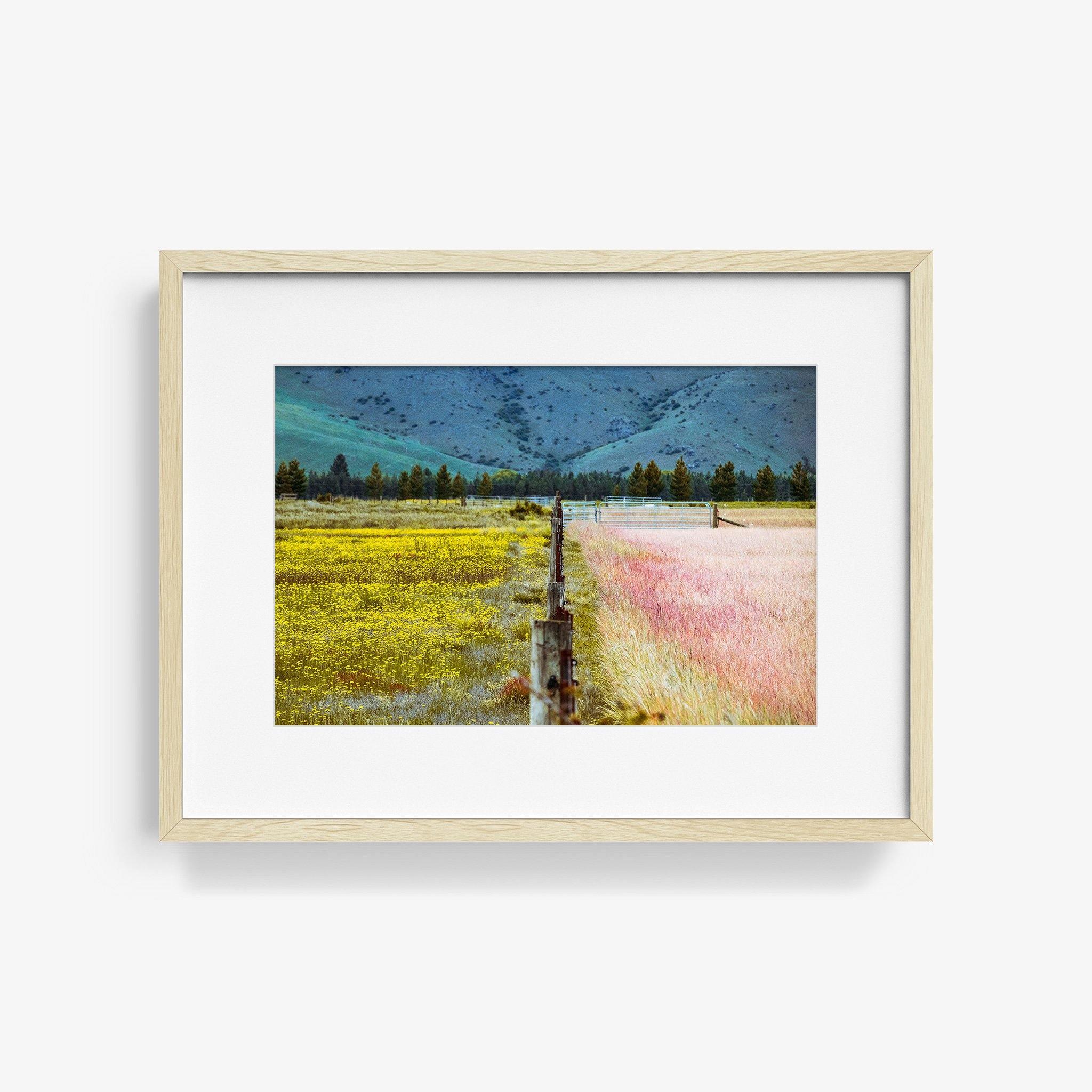 Photograph by Brian Merriam