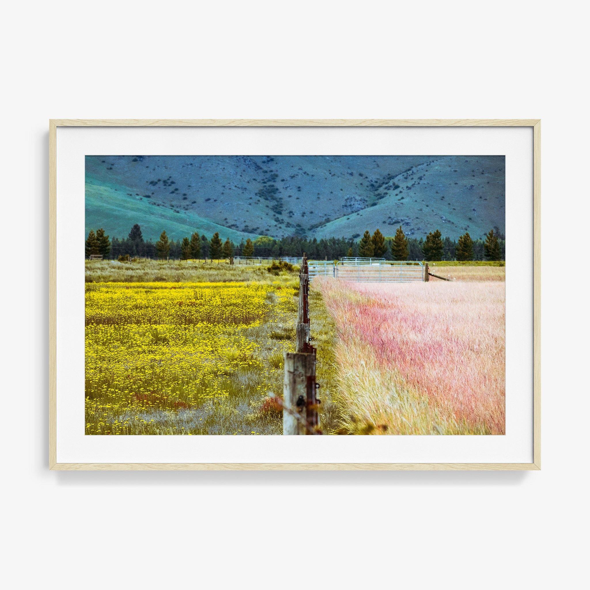 Photograph by Brian Merriam