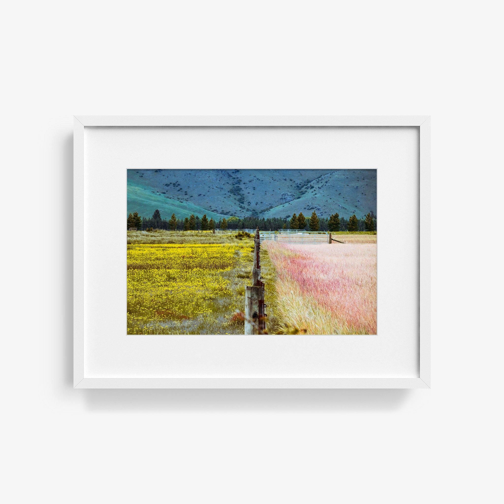 Photograph by Brian Merriam