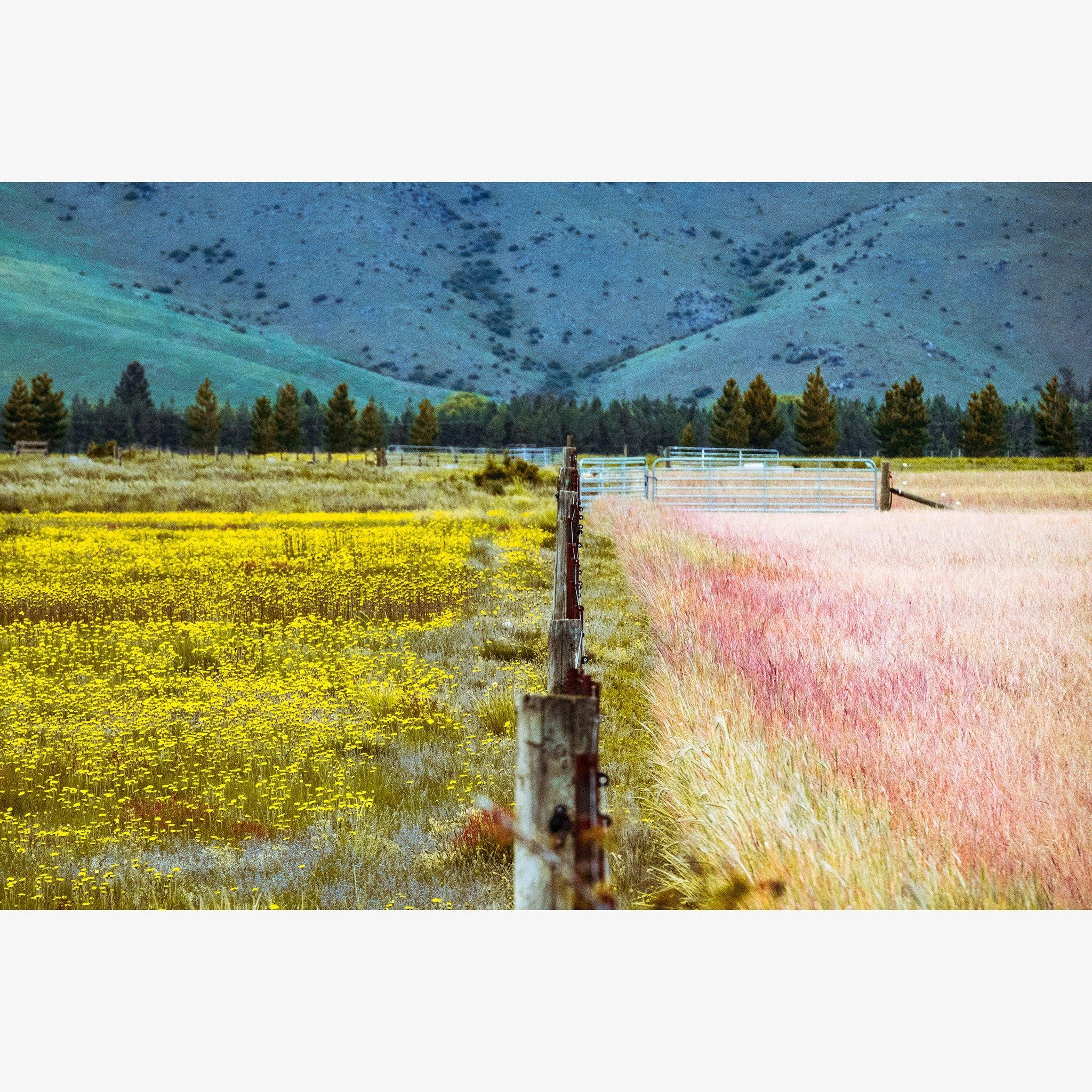 Photograph by Brian Merriam