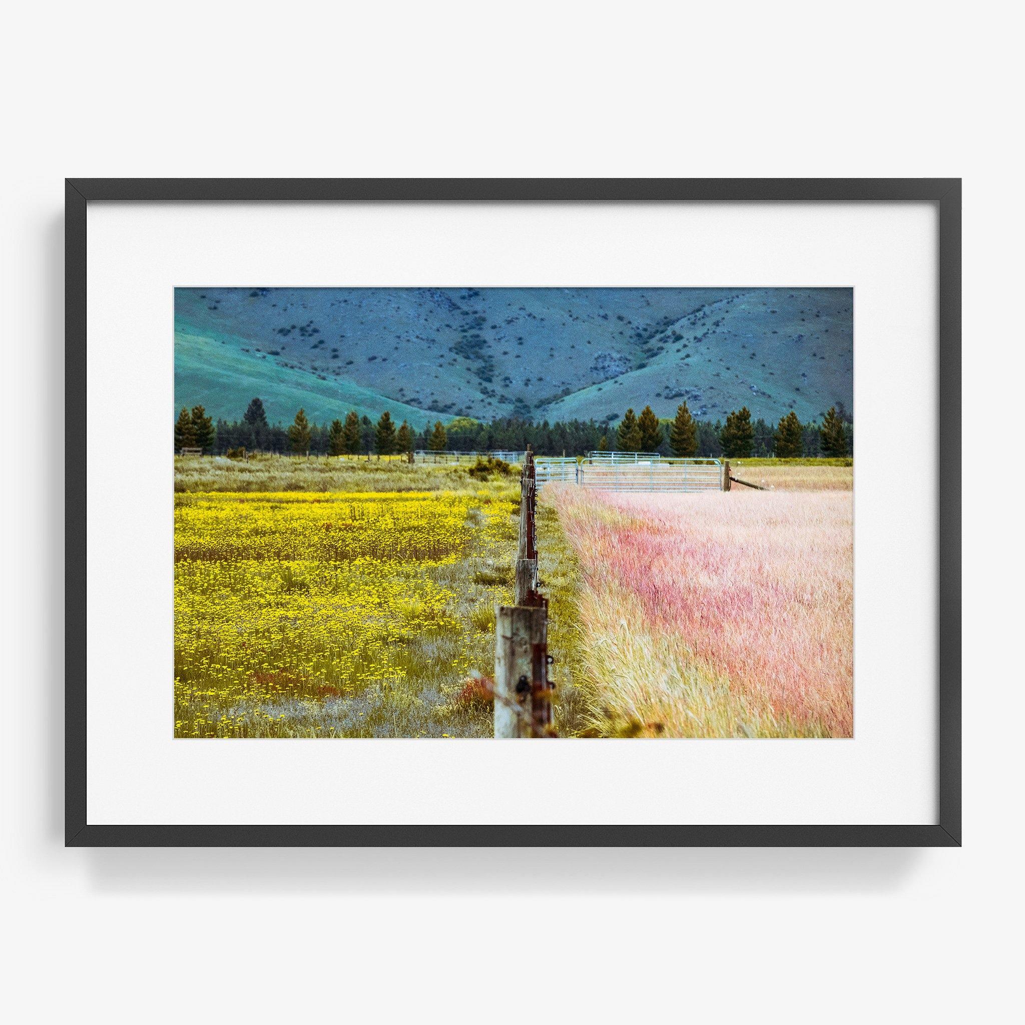 Photograph by Brian Merriam