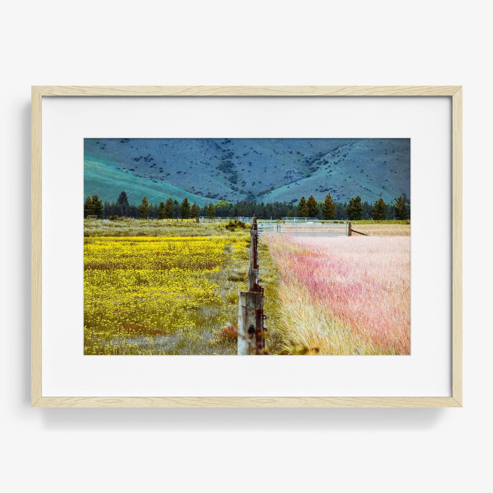 Photograph by Brian Merriam