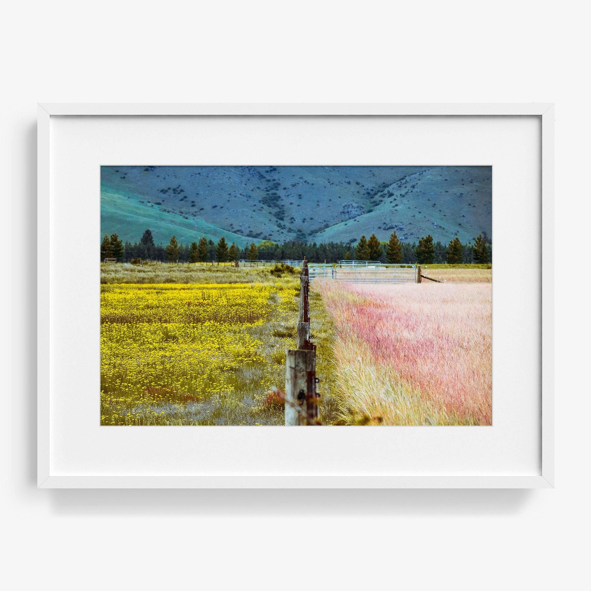 Photograph by Brian Merriam