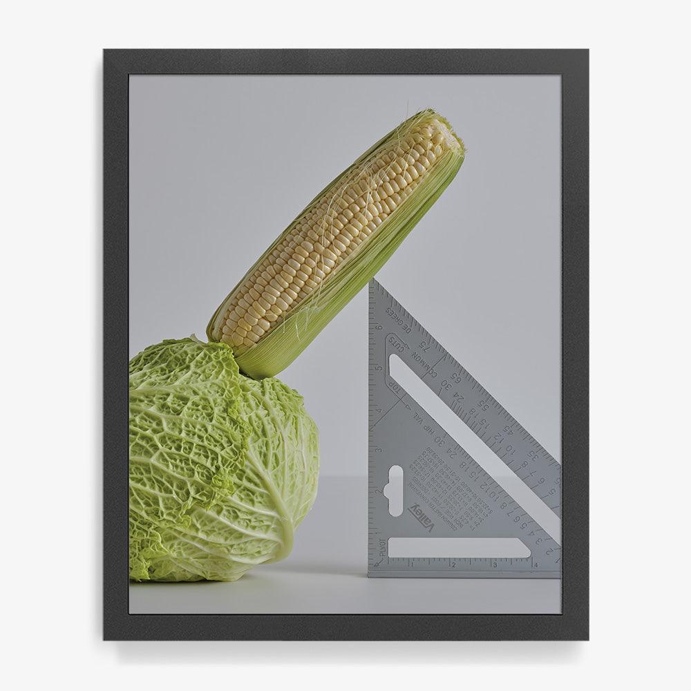 CABBAGE, CORN, SPEED SQUARE, Photograph  by  CABBAGE, CORN, SPEED SQUARE Tappan