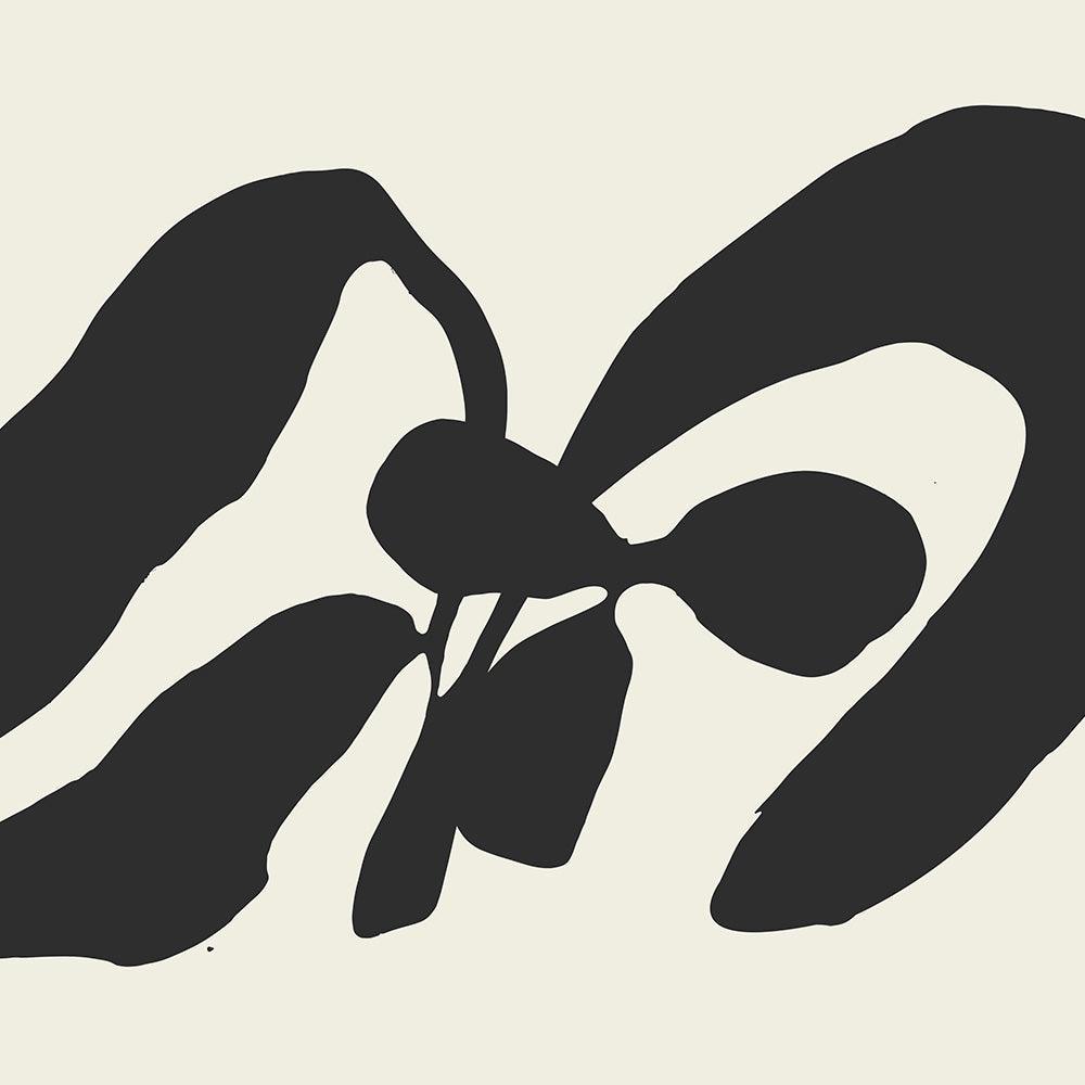 CAMPANULE , Print by CAMPANULE Tappan