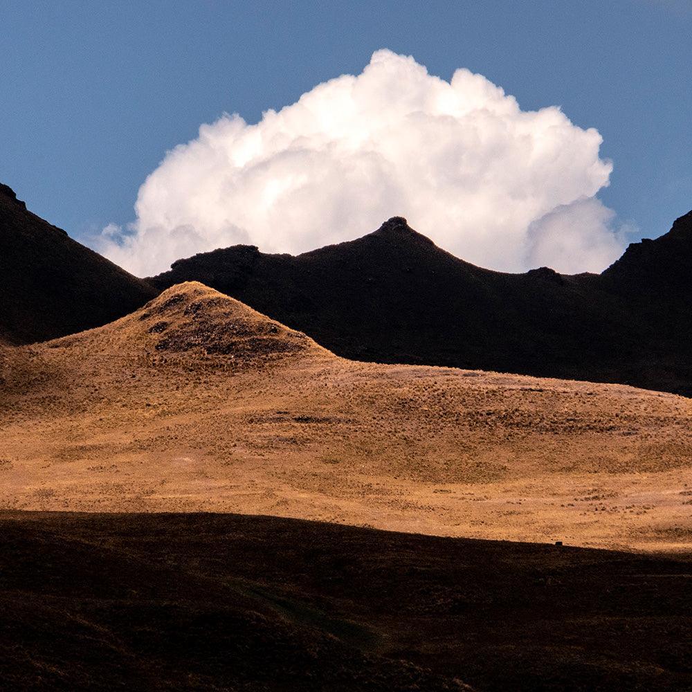 Photograph by Brian Merriam