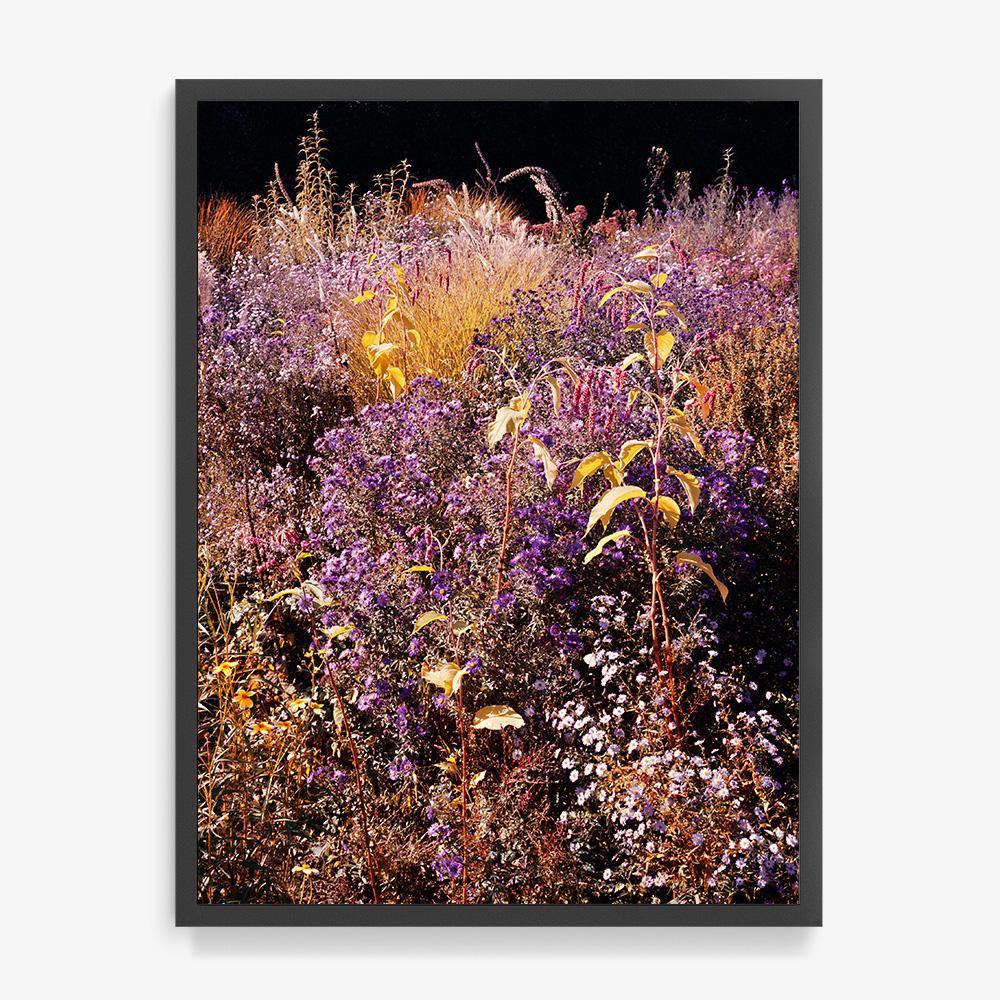 Photograph by Jacques Brun