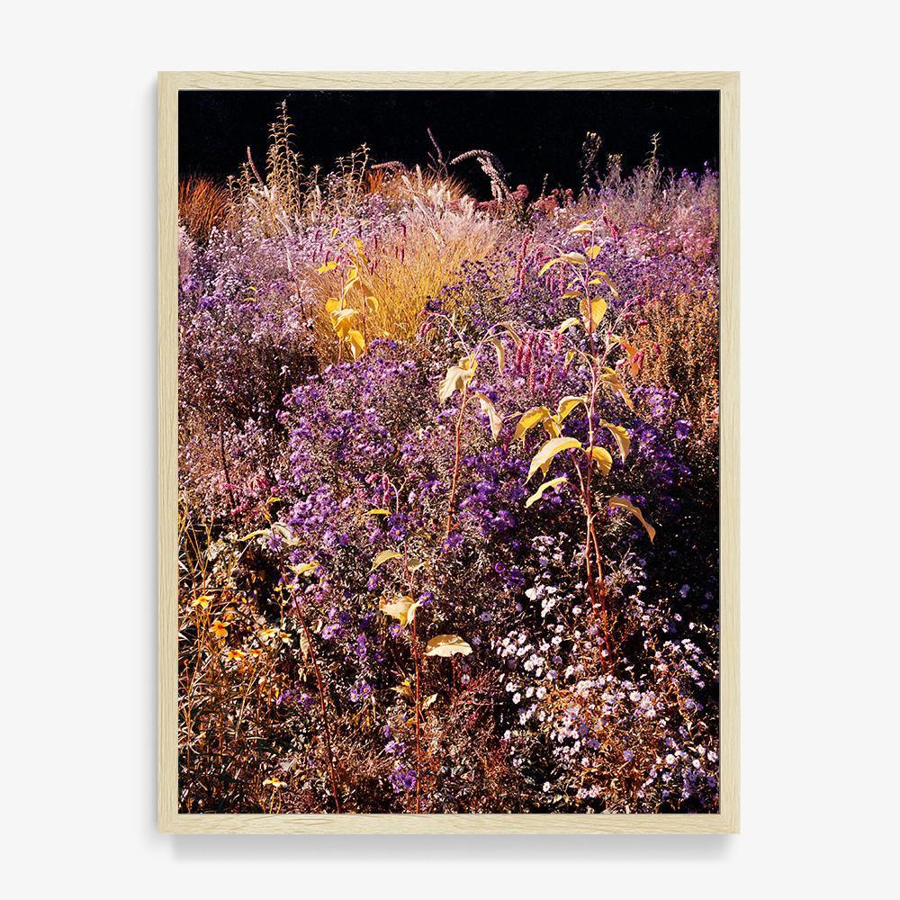 Photograph by Jacques Brun