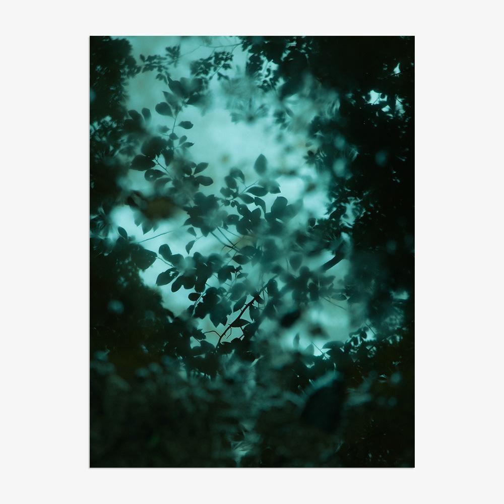 Photograph by Neil Kryszak