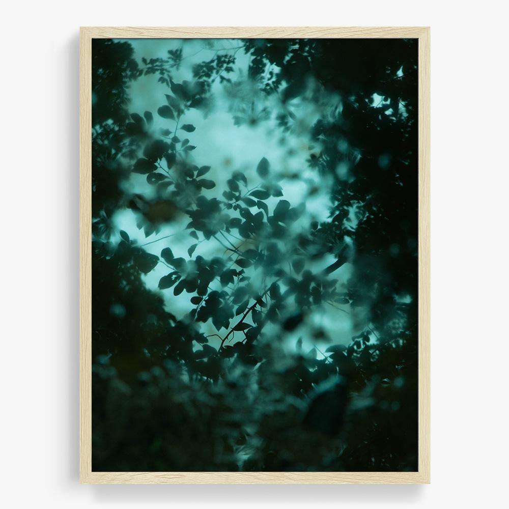 Photograph by Neil Kryszak