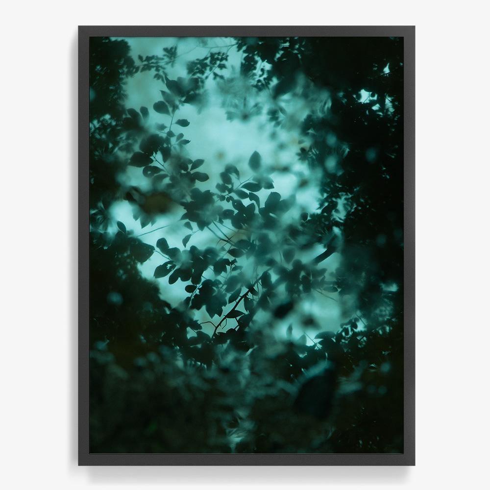Photograph by Neil Kryszak