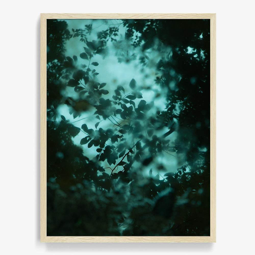 Photograph by Neil Kryszak