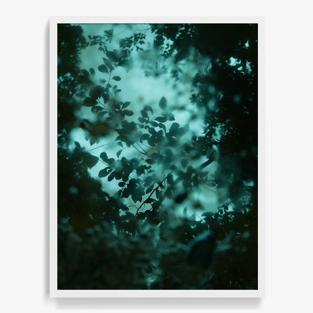 Photograph by Neil Kryszak