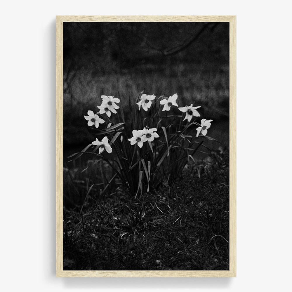 Photograph by Johanna Tagada Hoffbeck