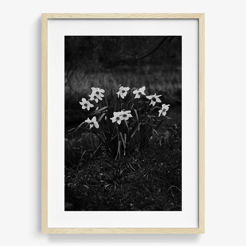 Photograph by Johanna Tagada Hoffbeck