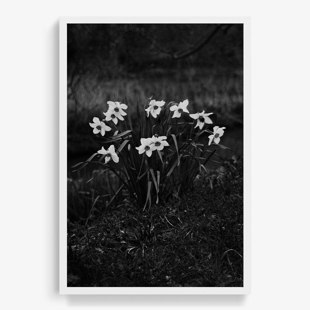 Photograph by Johanna Tagada Hoffbeck