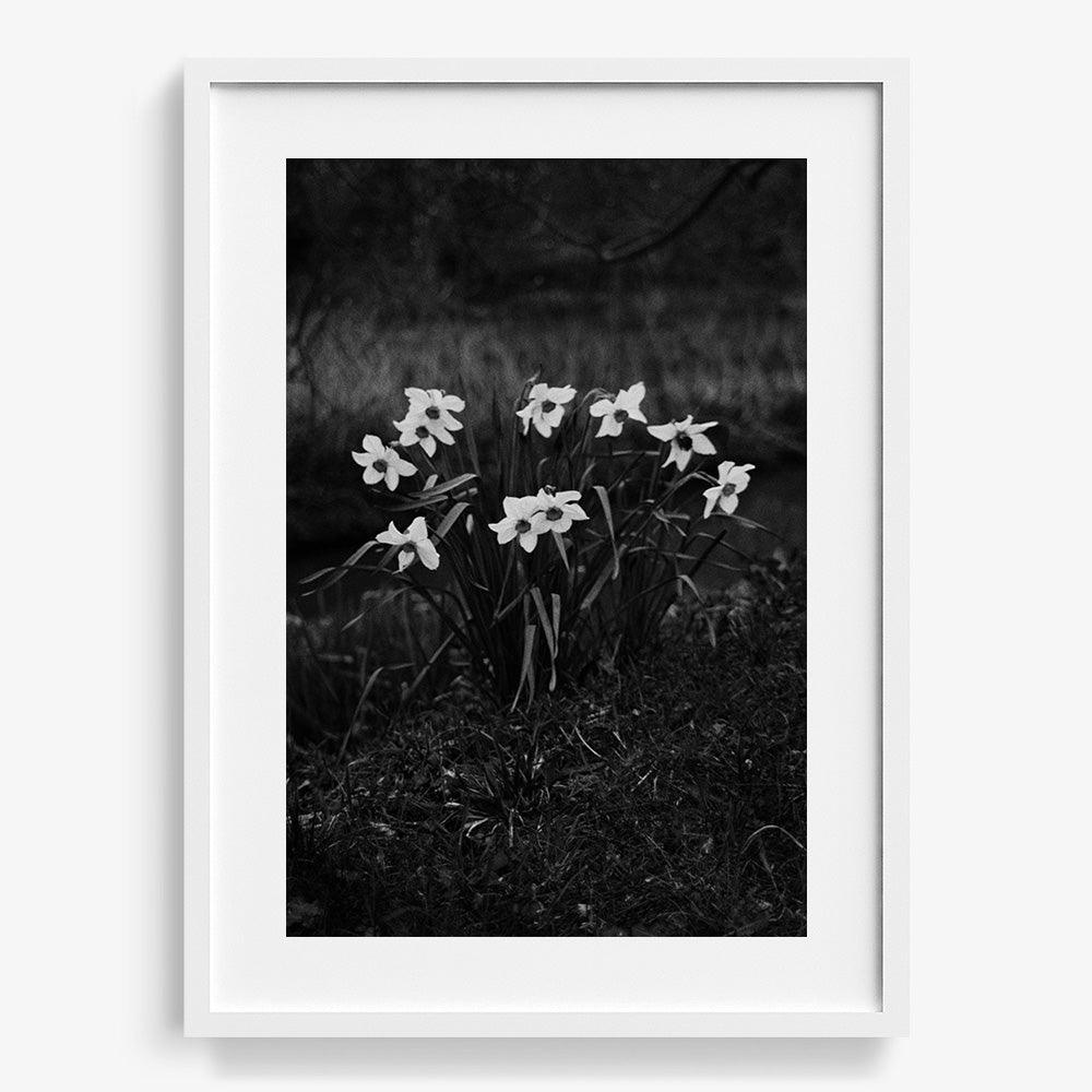 Photograph by Johanna Tagada Hoffbeck