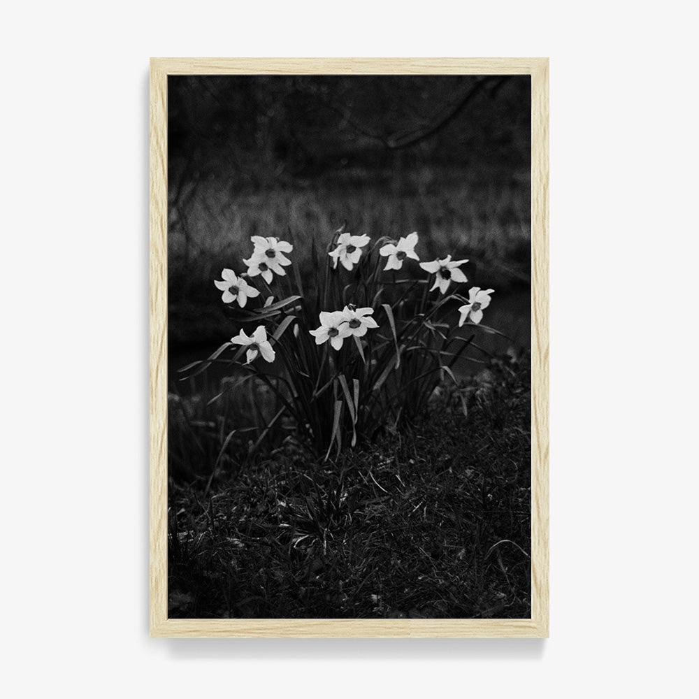 Photograph by Johanna Tagada Hoffbeck