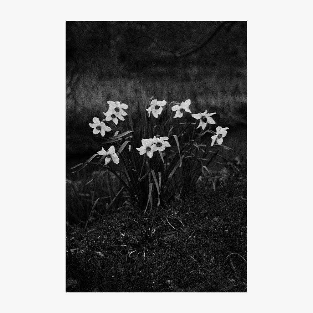 Photograph by Johanna Tagada Hoffbeck