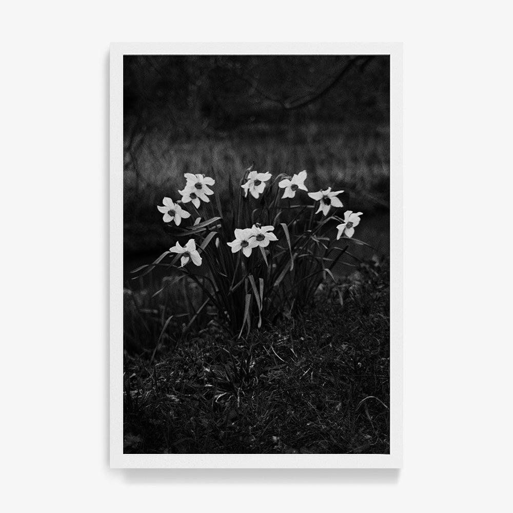 Photograph by Johanna Tagada Hoffbeck