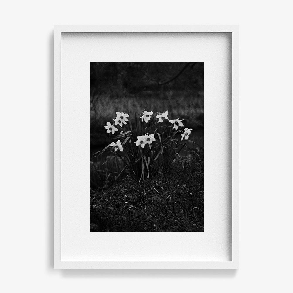 Photograph by Johanna Tagada Hoffbeck